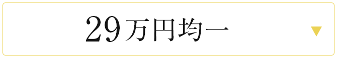 29万円均一