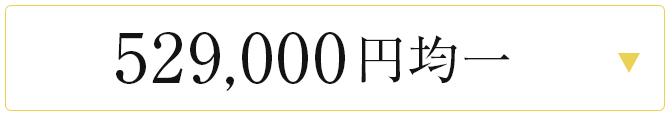 529000円均一