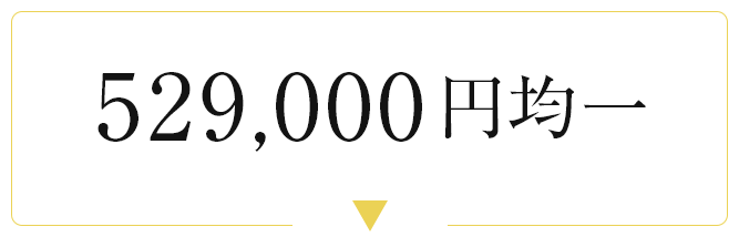 529000円均一
