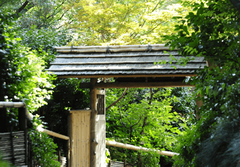 銀ぶらお出かけ会～椿山荘でイタリアンと雲海庭園散策～