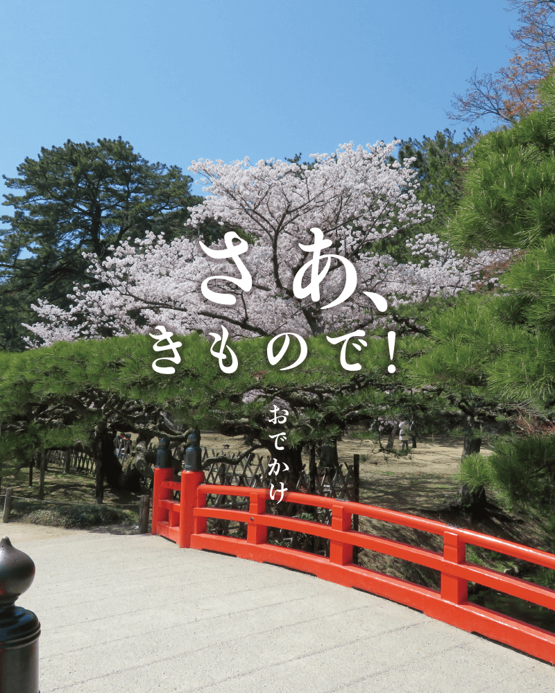 さあ、きもので！