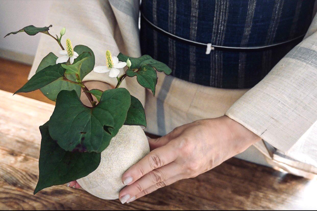 『きものが着たくなったなら』(技術評論社)の著者・山崎陽子さんが綴る連載「つむぎみち」。おだやかな日常にある大人の着物のたのしみを、織りのきものが紡ぎ出す豊かなストーリーとともに語ります。
