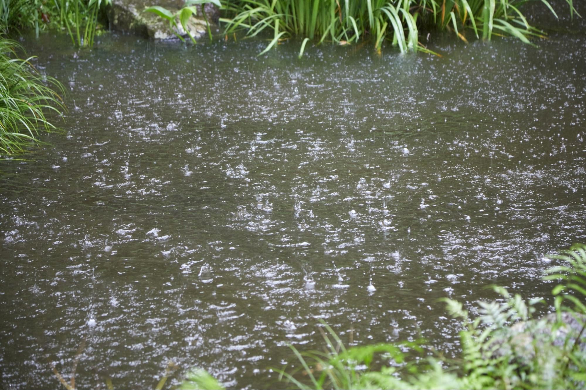 雨音から情緒を感じて