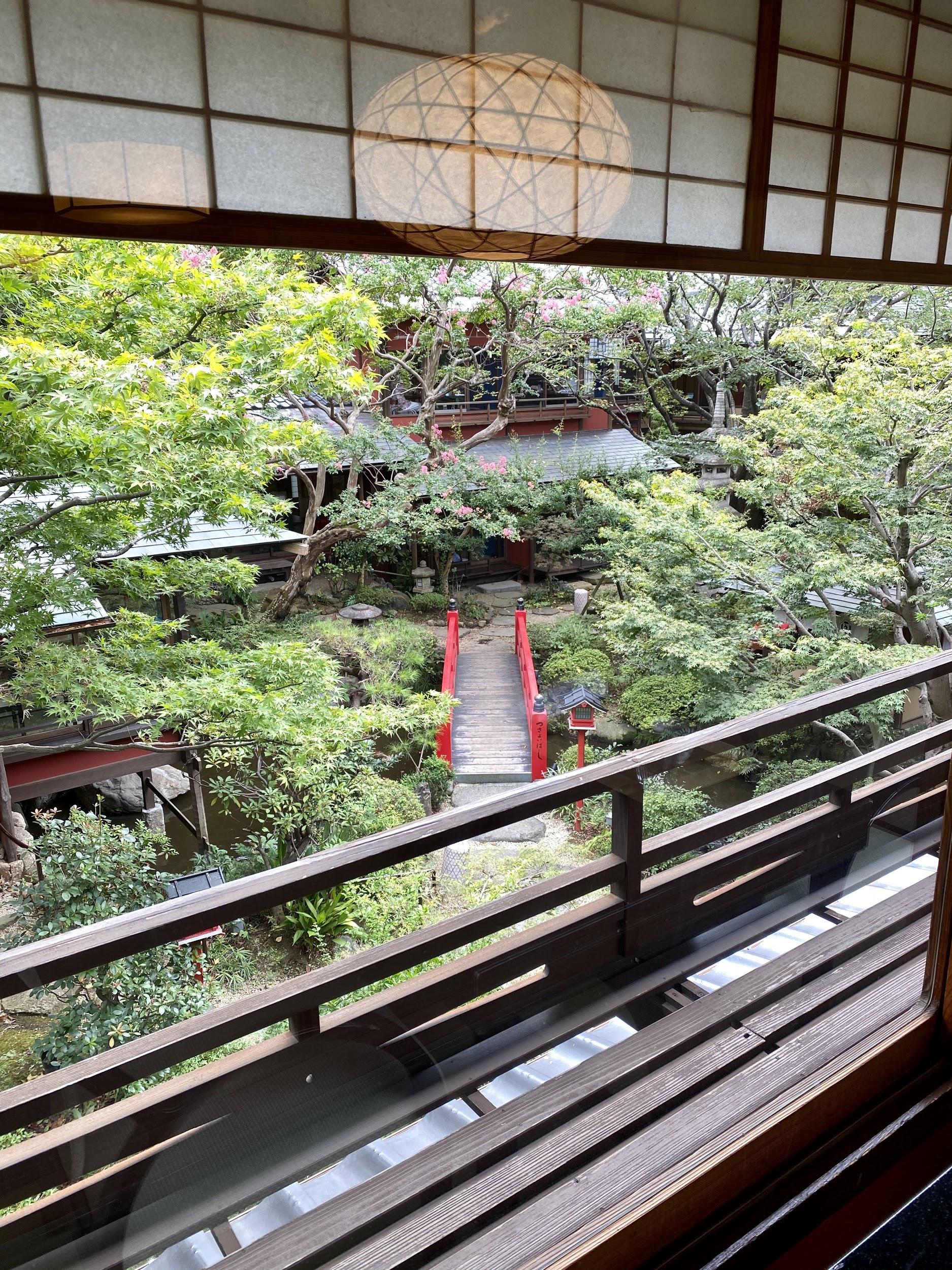 窓越しに、今はまだ緑色の葉をつけた大きなモミジの木が見えます