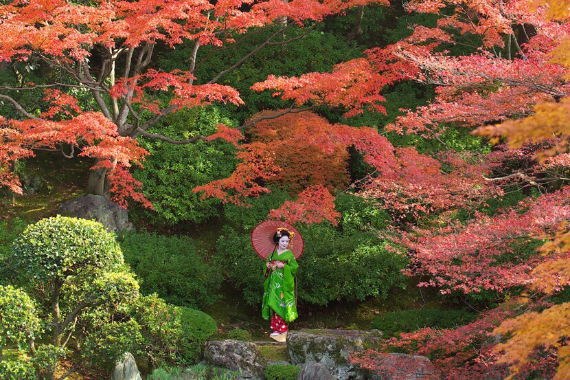 秋の着物や舞台など 「京都・祇園甲部芸妓、佳つ雛日記!」vol.8