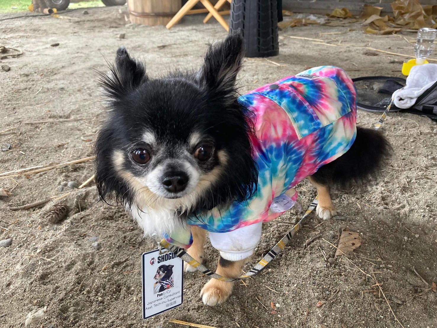 監督の愛犬、パンくん