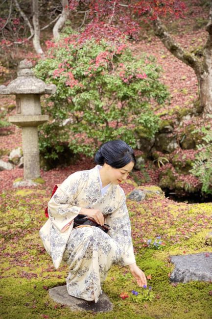 Enjoying the autumn season at Kyoto's Hakuryuen garden