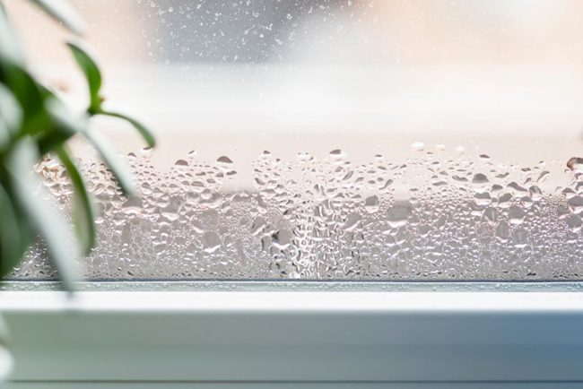 湿気に要注意