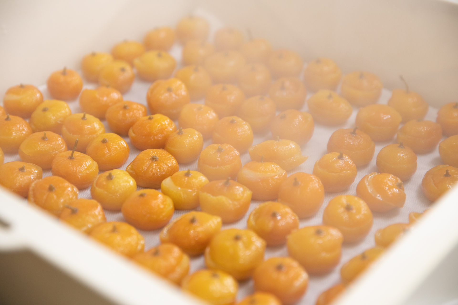 有職菓子御調進所 老松 ときじくのかぐのこのみ『大和橘』 「和菓子のデザインから」vol.3