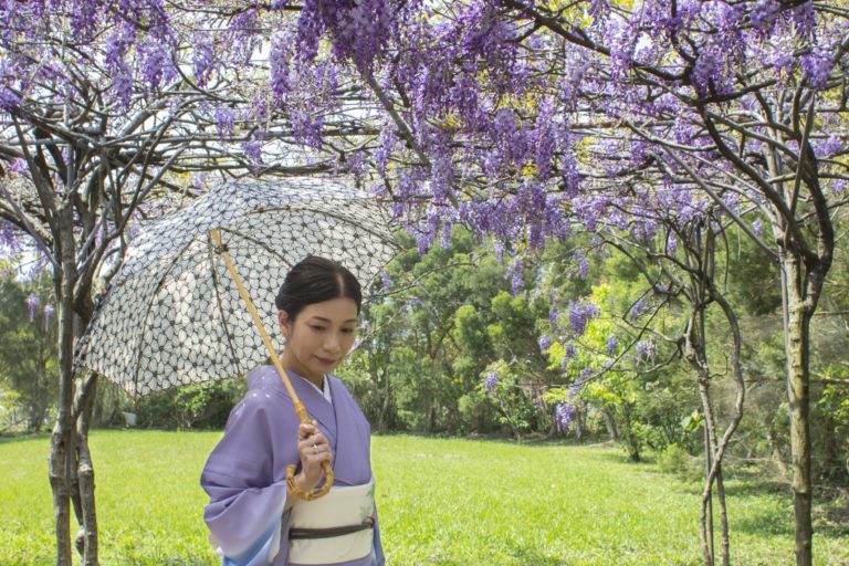 CD 快楽 青春 10姉妹的台湾歌 春天的花蕊 春の花々 台湾の歌姫達