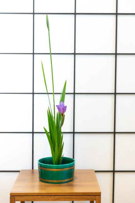端午の節句 菖蒲の節句 刀を思わせる葉で邪気払い 嵯峨御流 はじめましょう 花であそぶ節句 Vol 2 着物 和 京都に関する情報ならきものと