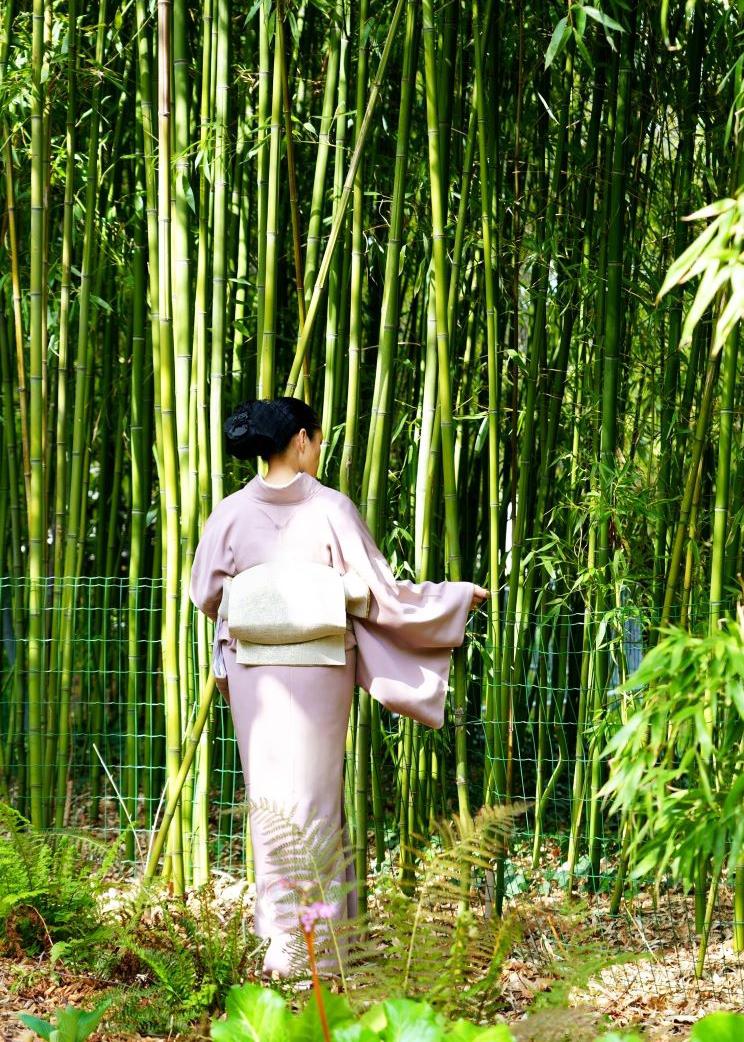 紋章の世界 ― 奥深き日本の伝統美 「MariMaedaの着物