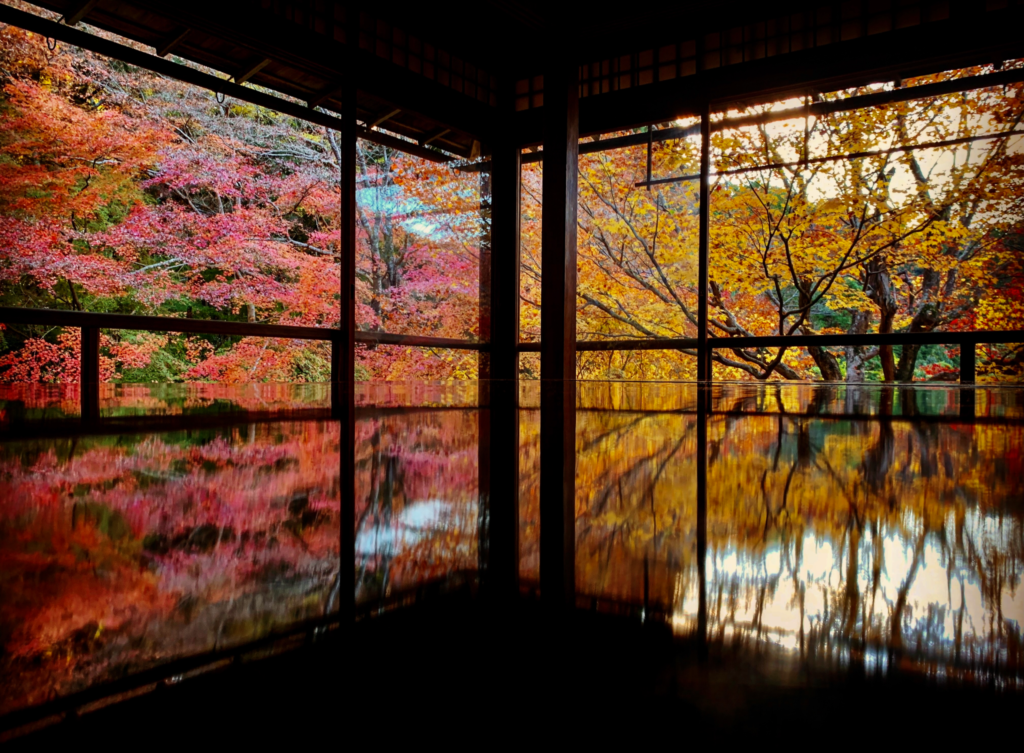 瑠璃光院