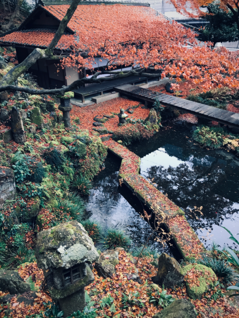 月心寺の紅葉、上景