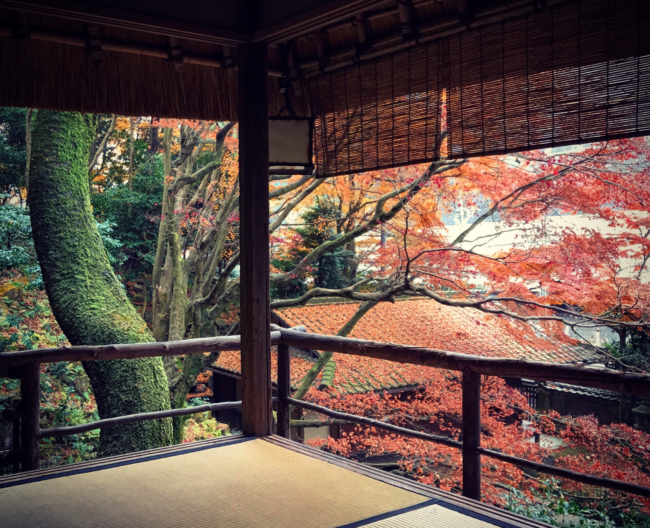 月心寺のお茶室