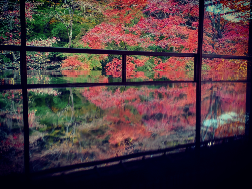 瑠璃光院