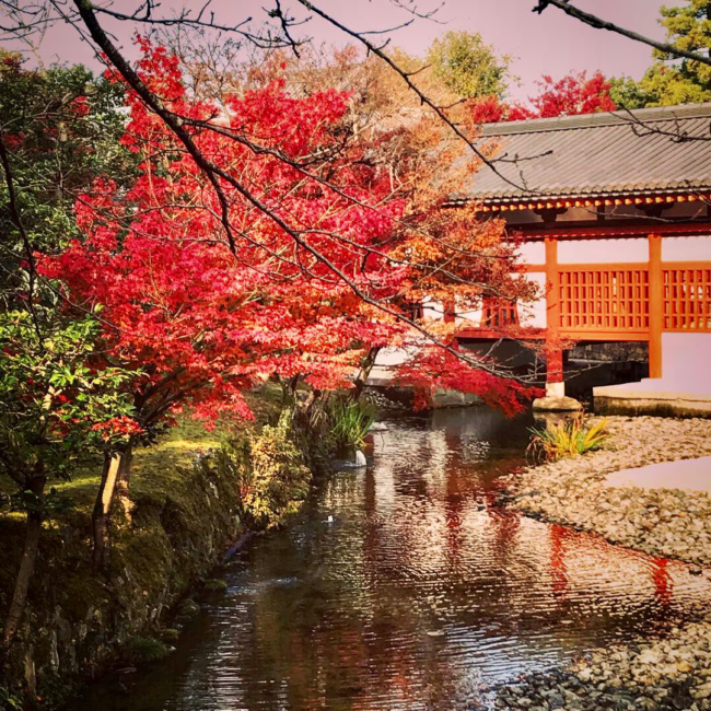 平等院鳳凰堂