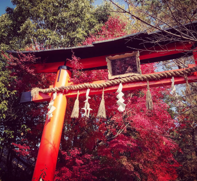 宇治上神社