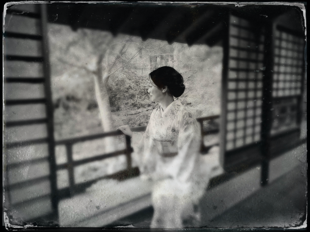 湿板光画