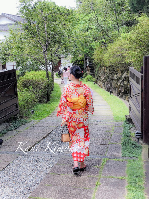 是非台湾にもいらしてくださいね。