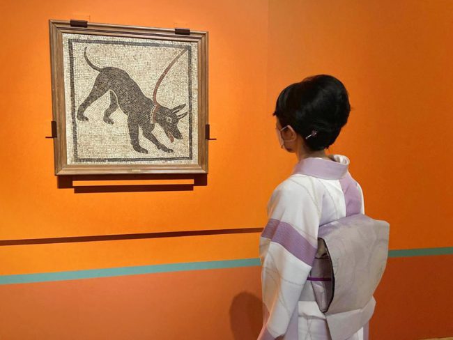 猛犬のモザイク