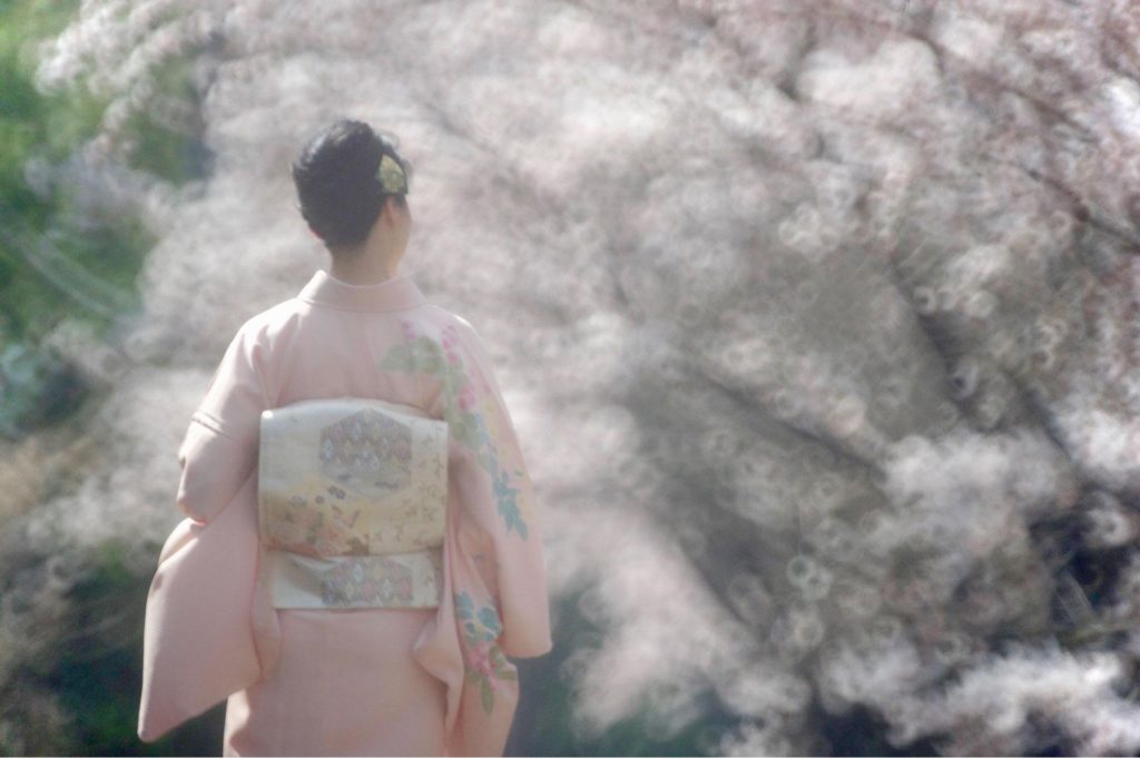 桜と潤子さん後ろ姿