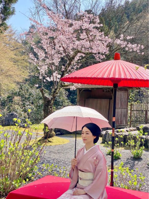 白龍園に座る