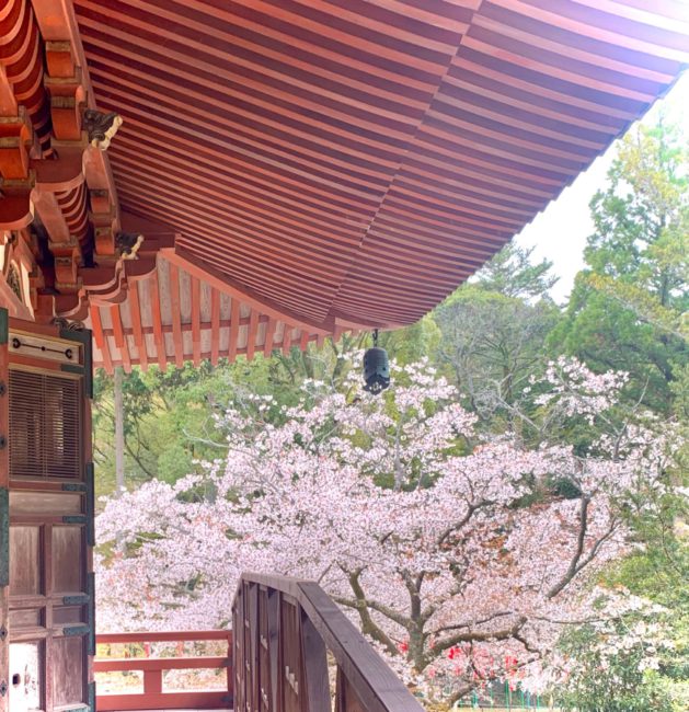 醍醐寺本坊