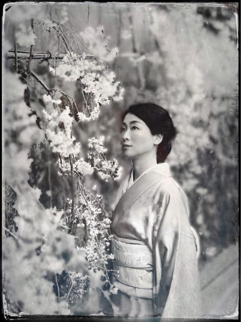 湿板光画