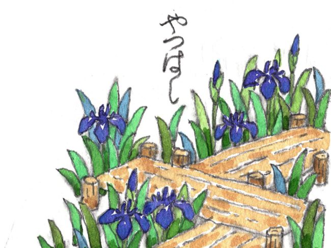 皐月の文様　杜若