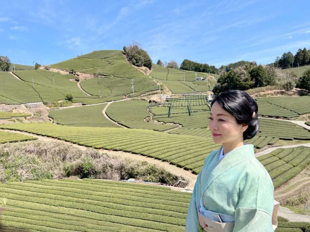 石寺の茶畑