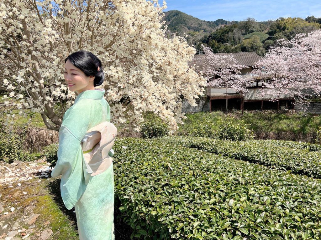 茶源郷