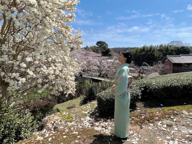 茶源郷、木蓮を愛でる