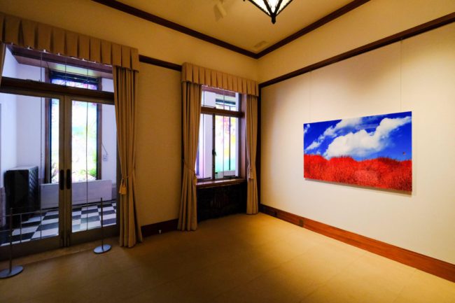東京都庭園美術館「蜷川実花　瞬く光の庭」展　会場風景