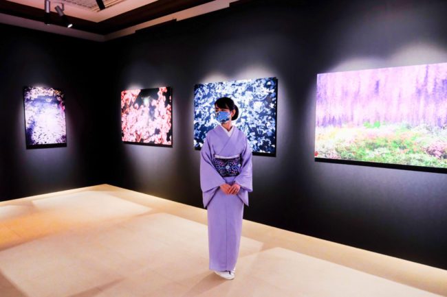 東京都庭園美術館「蜷川実花　瞬く光の庭」展　会場風景