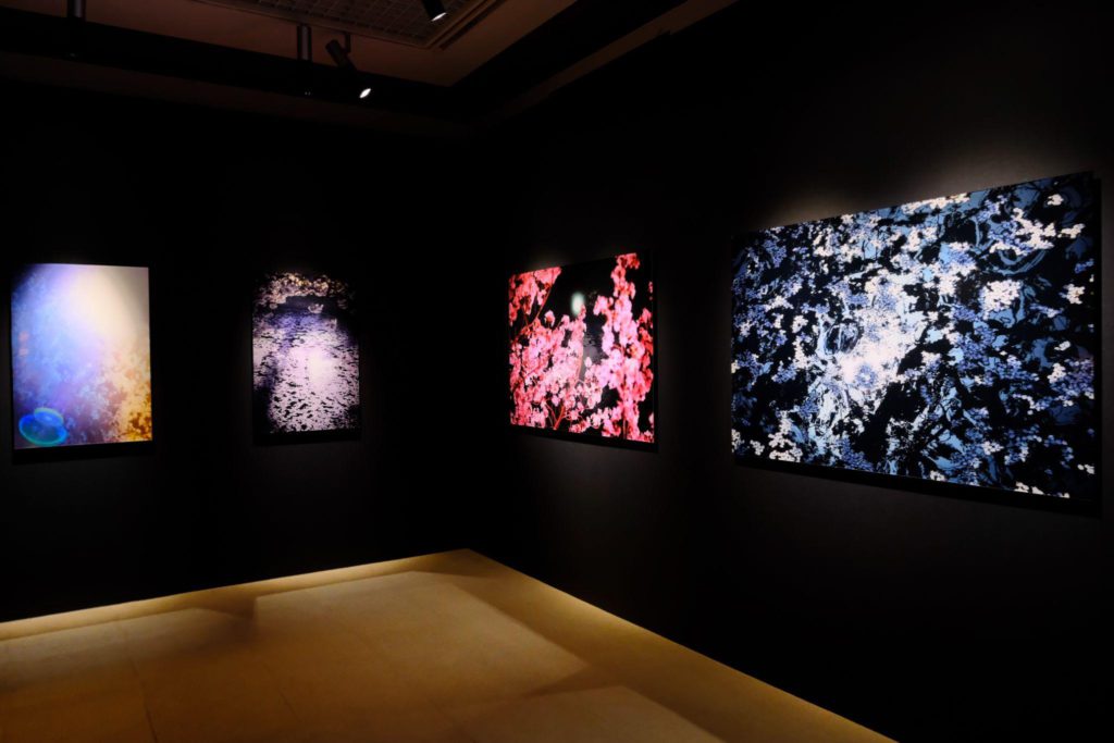 東京都庭園美術館「蜷川実花　瞬く光の庭」展　会場風景