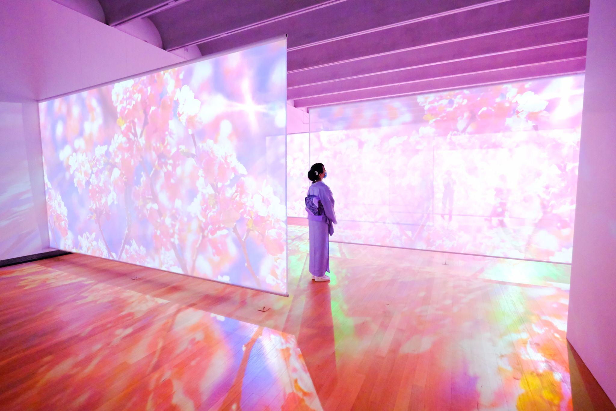 『蜷川実花 瞬く光の庭』 東京都庭園美術館 「きものでミュージアム」vol.12