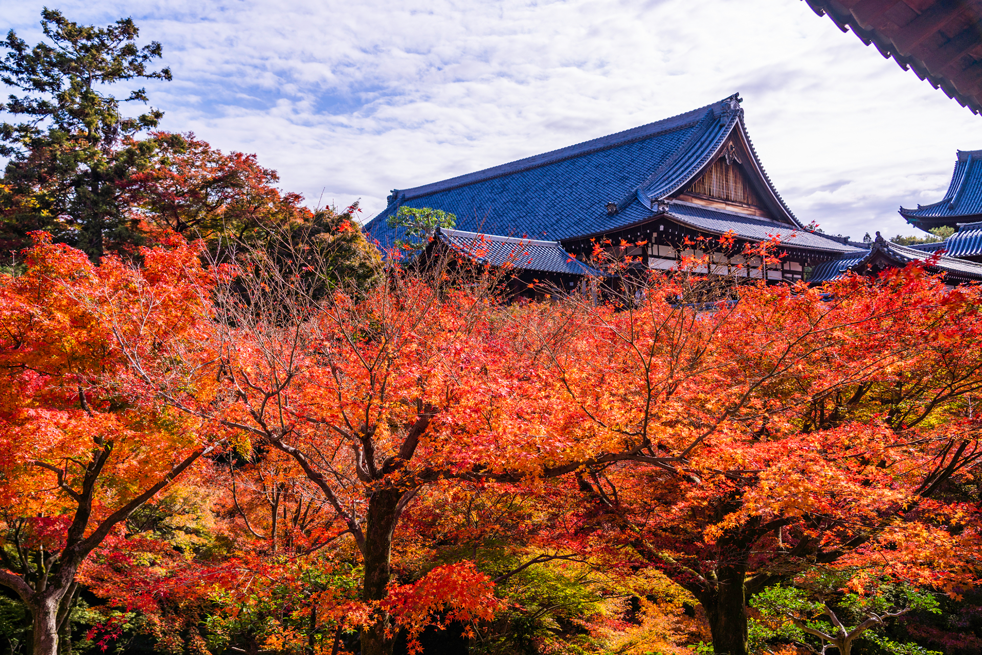 東福寺