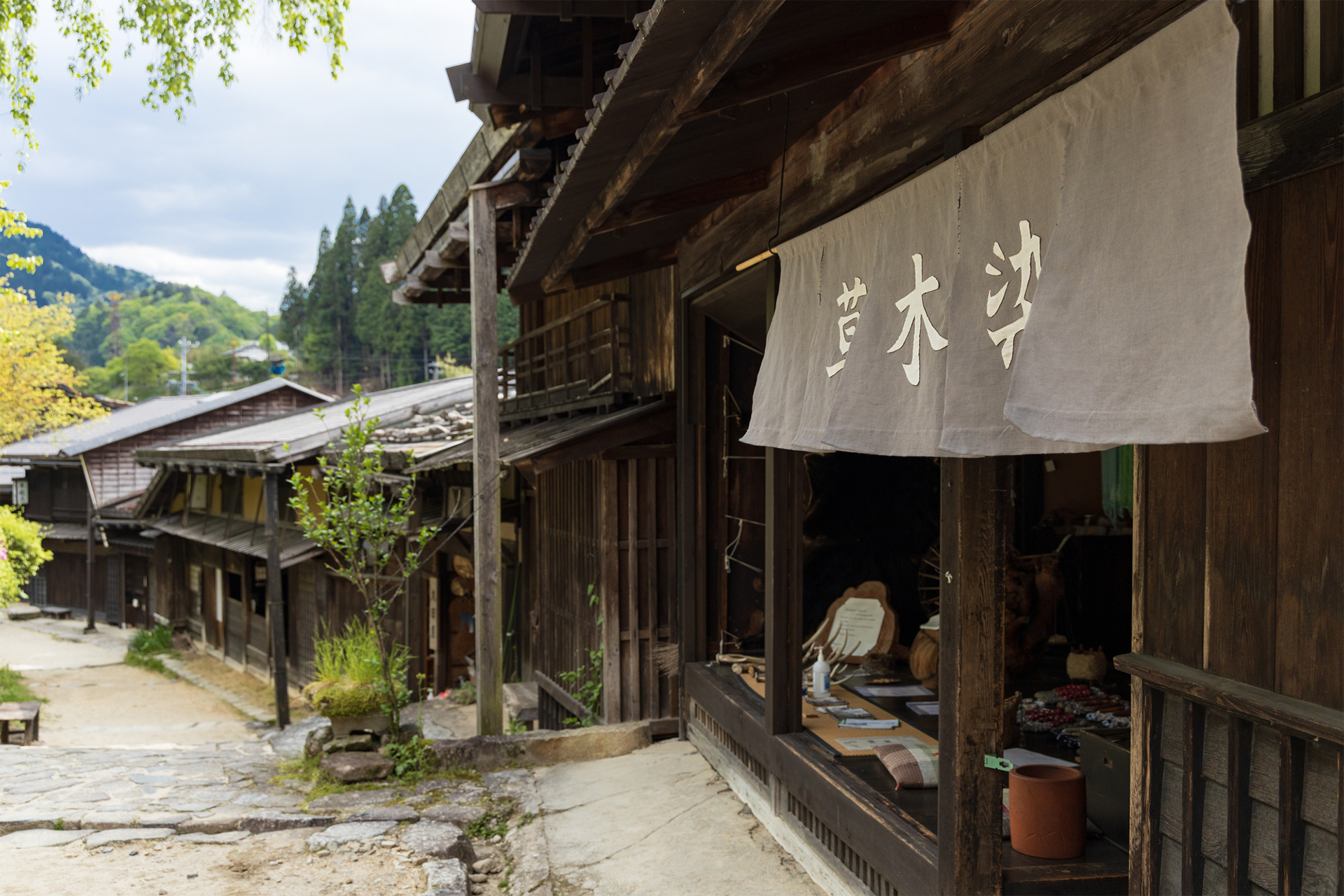 草木染め名前の由来