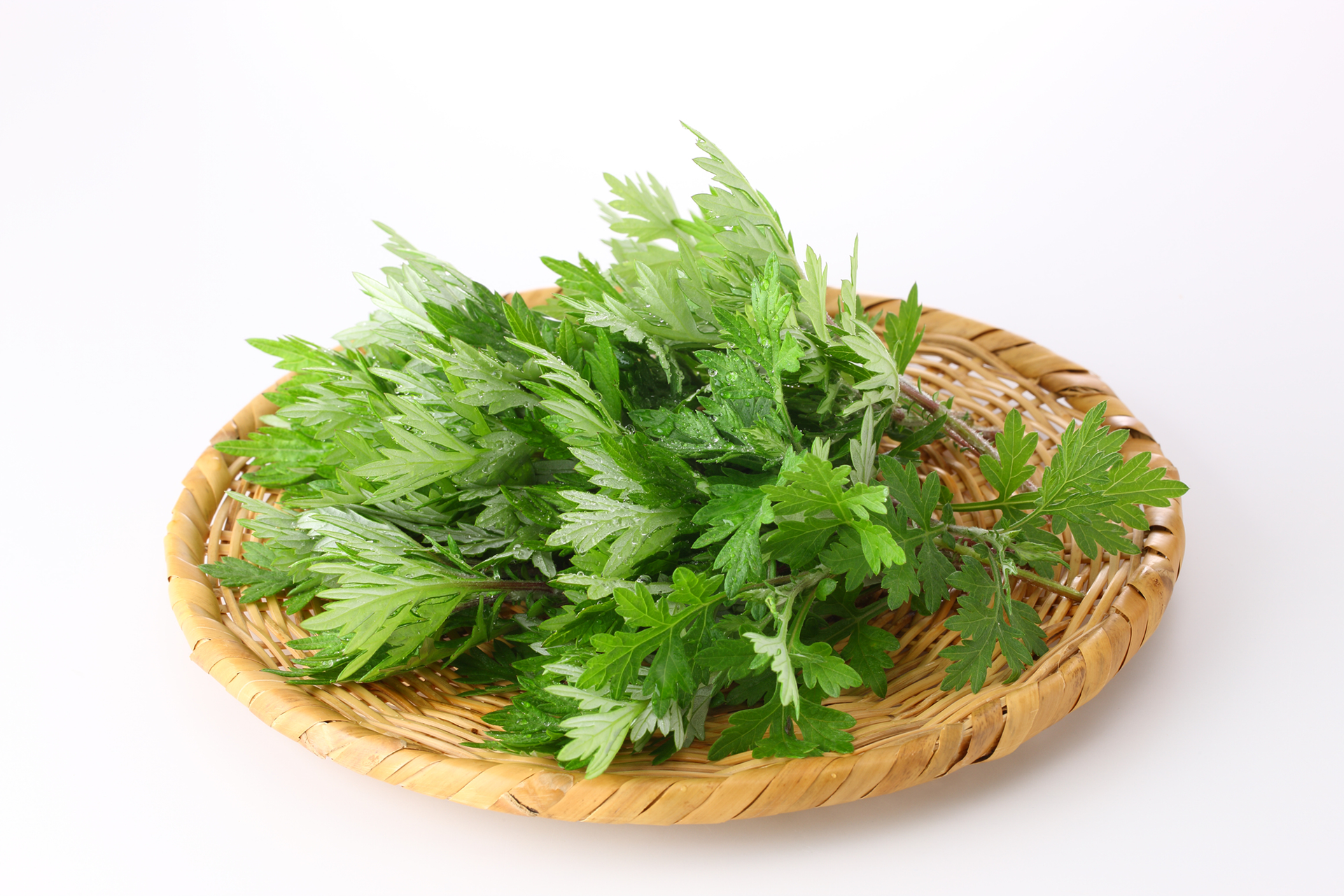 草木染めでおすすめの植物