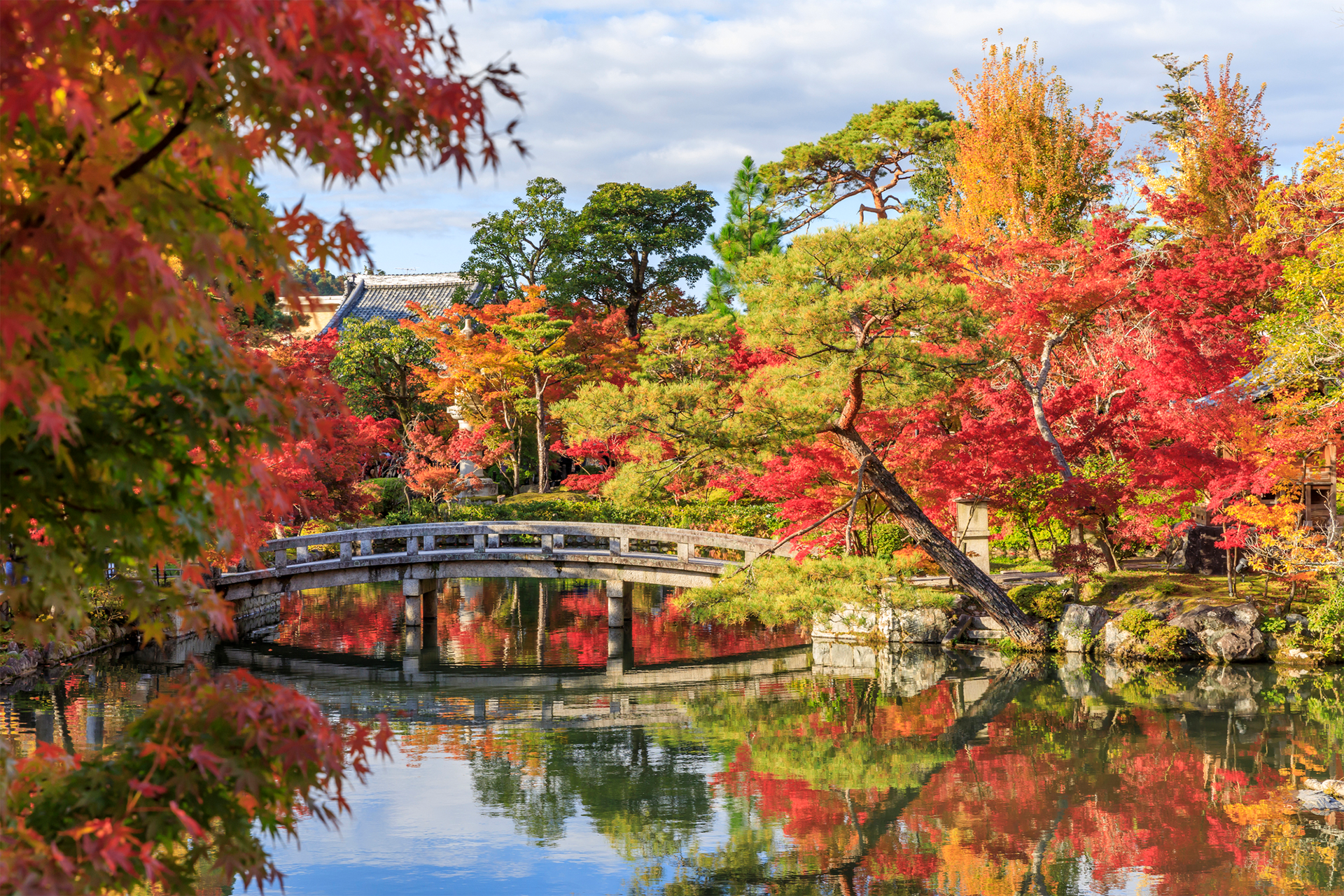 秋の京都観光