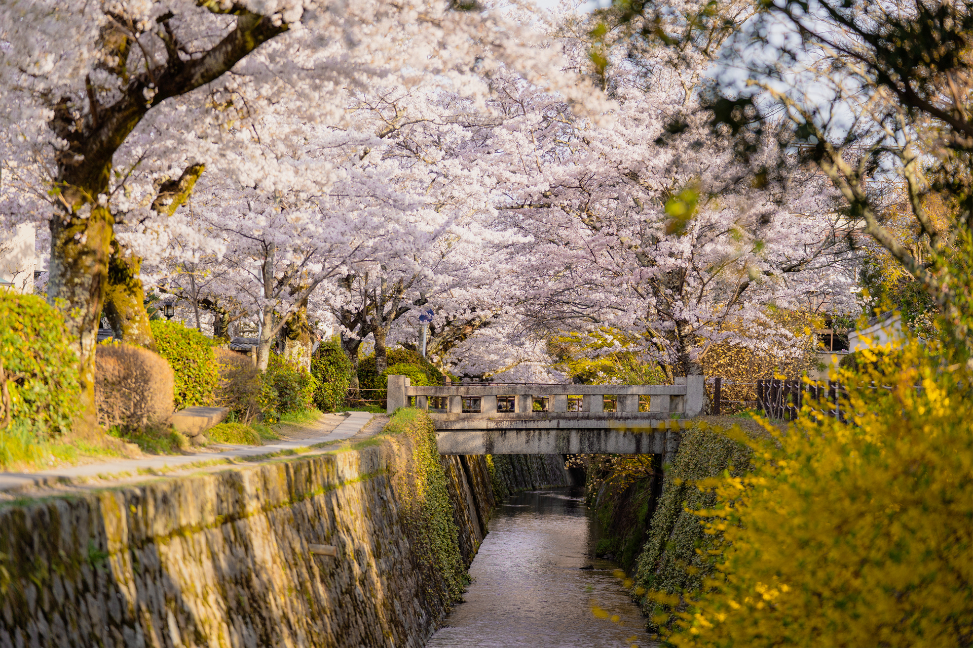 哲学の道