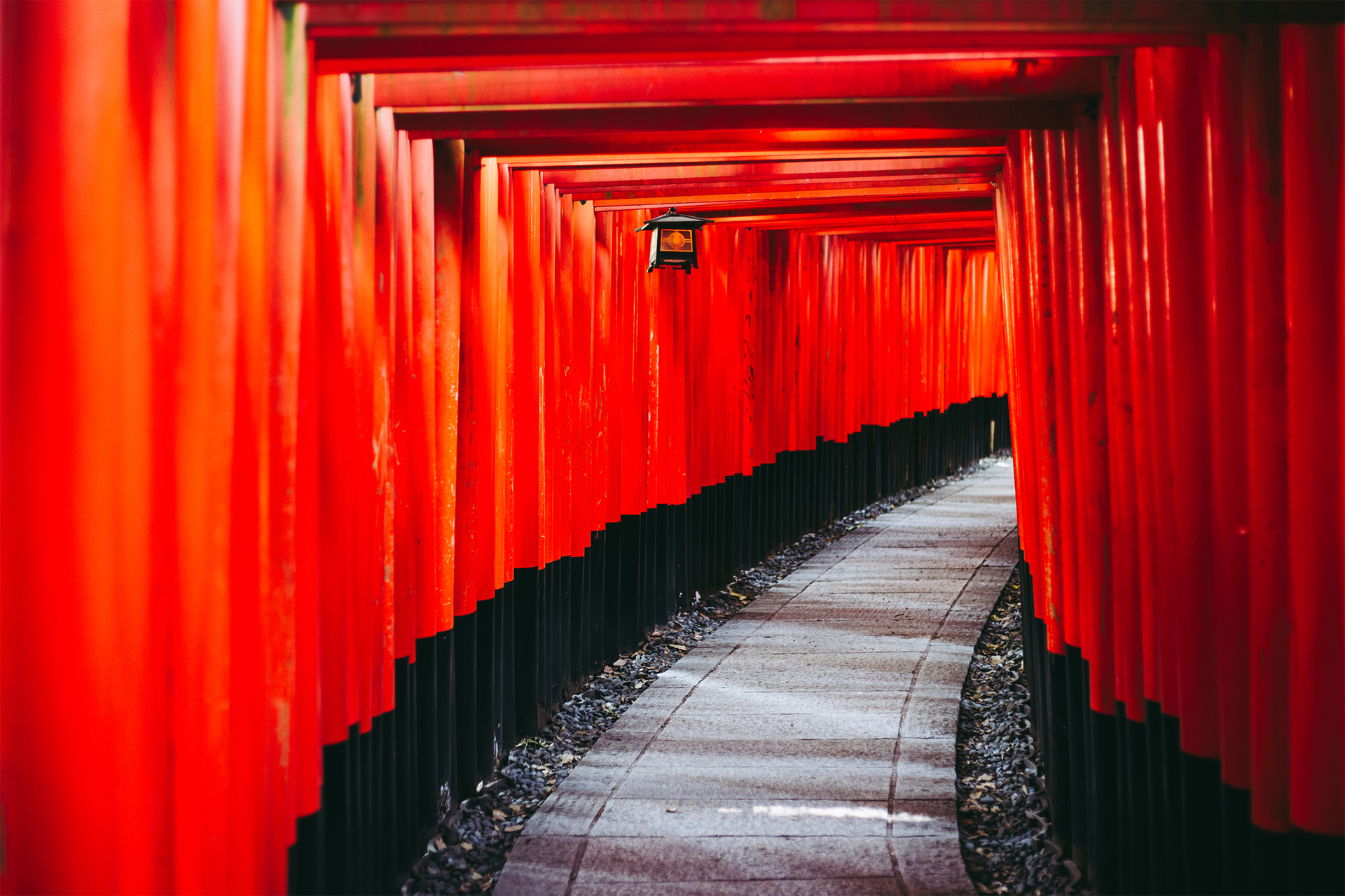 京都の伏見稲荷大社の見どころは?着物を着てめぐりたい定番観光スポット8選をご紹介