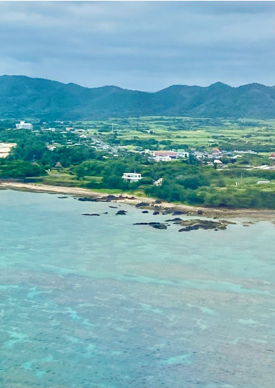 奄美大島