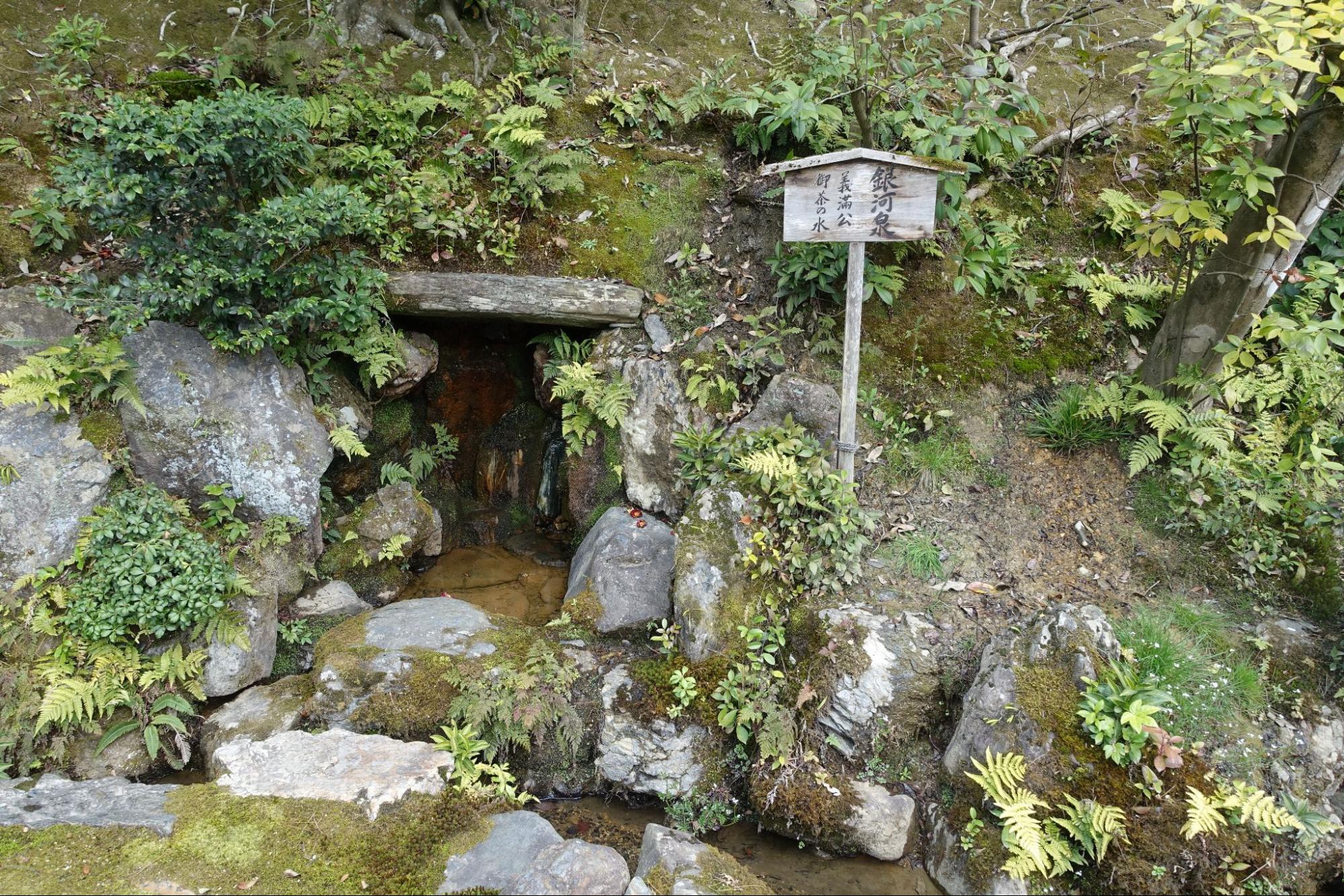 銀河泉