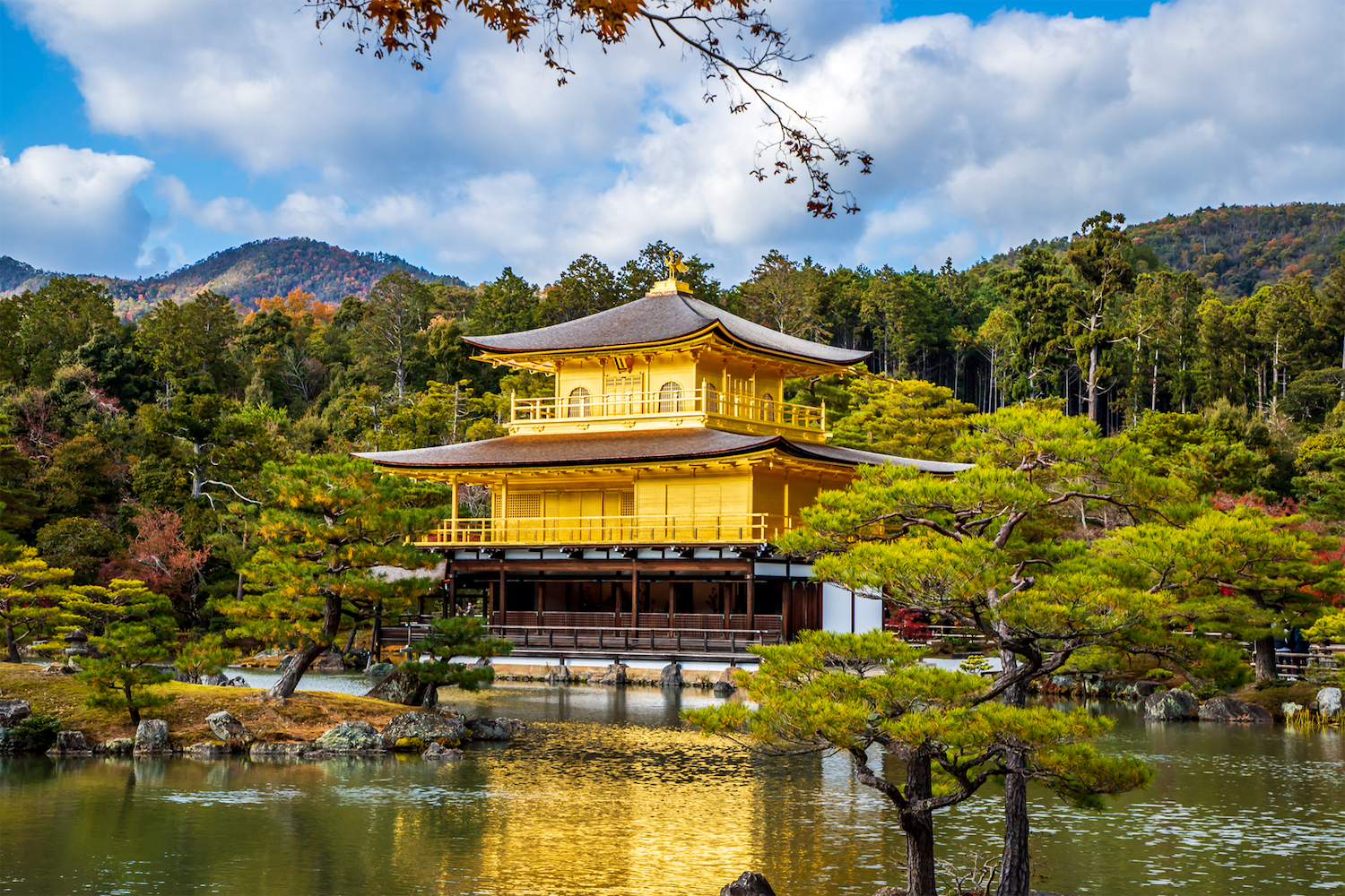 京都初心者におすすめの観光スポット