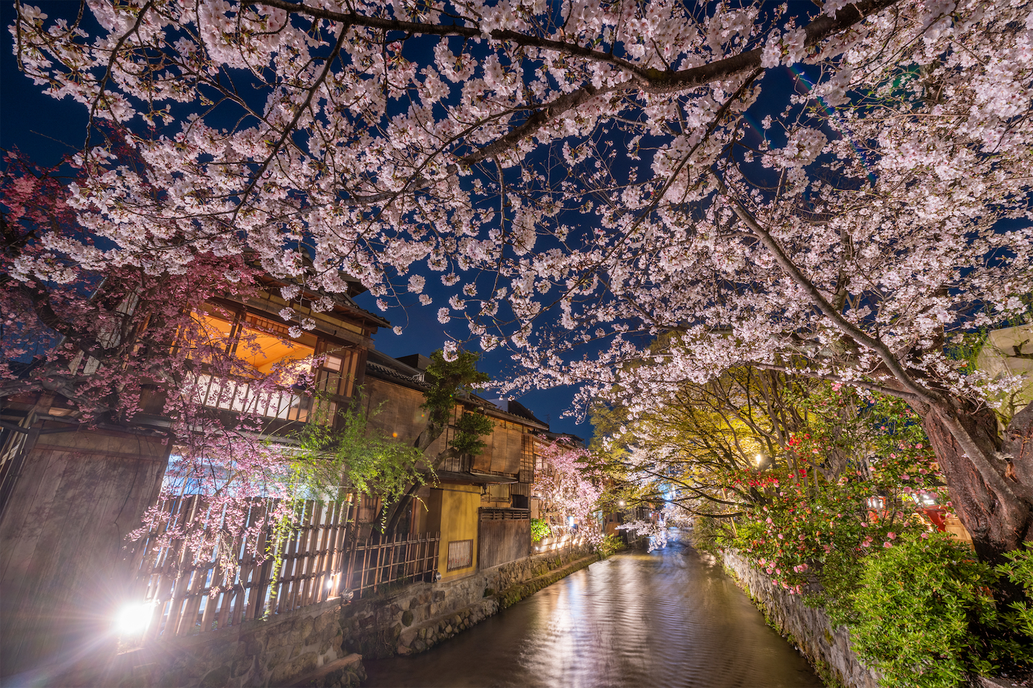 祇園周辺の定番観光地3選!着物を着て巡りたいおすすめスポット!