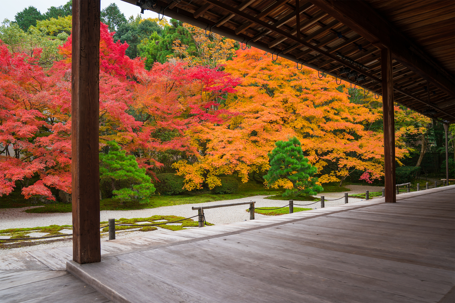 天授庵の庭園「方丈東庭」