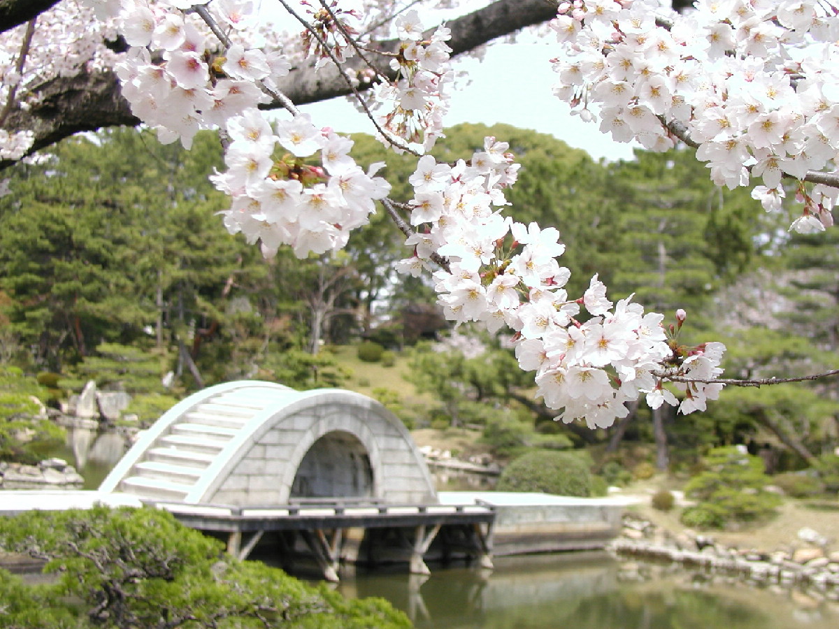さあ、きもので!in 広島 ~春の縮景園散策~