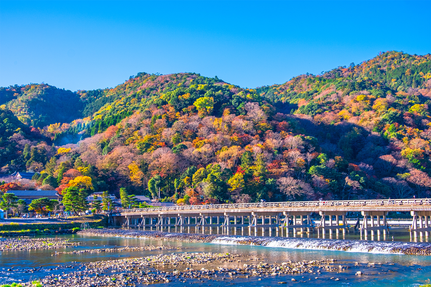 嵐山の見どころ